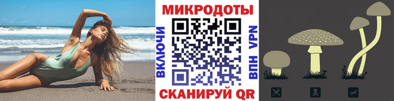 Галлюциногенные грибы Psilocybine cubensis  Купить  Мензелинск 